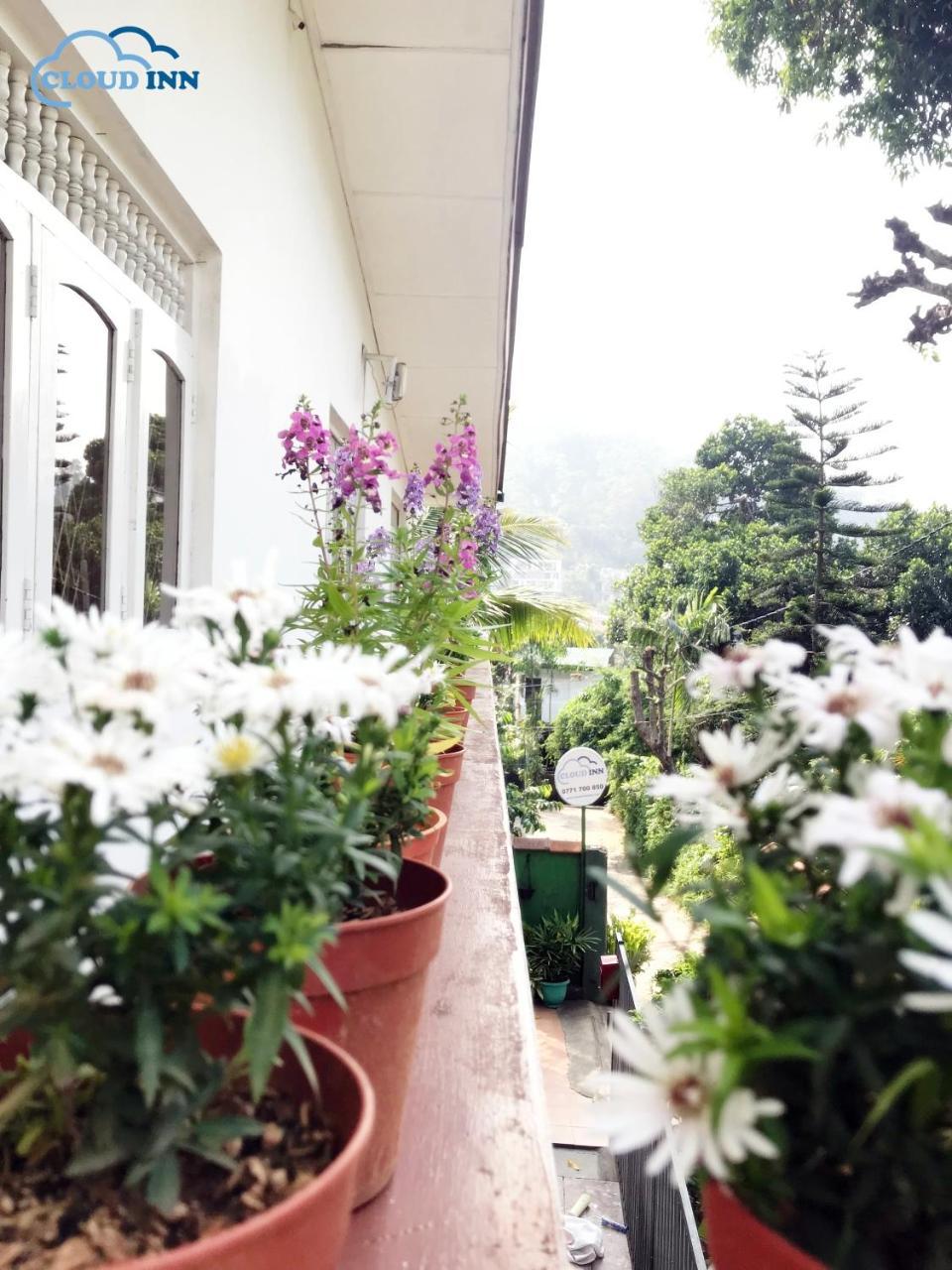 Cloud Inn Kandy Homestay Ngoại thất bức ảnh